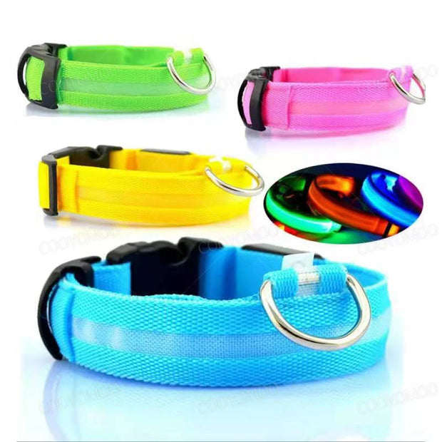 3-Mode LED Dog Collar – USB Rechargeable & Detachable Night Safety Light