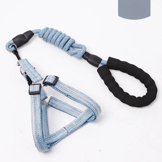 Adjustable Pet Harness & Leash Set – 1.2M for Small Dogs & Cats