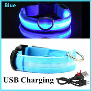 3-Mode LED Dog Collar – USB Rechargeable & Detachable Night Safety Light