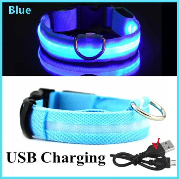 3-Mode LED Dog Collar – USB Rechargeable & Detachable Night Safety Light