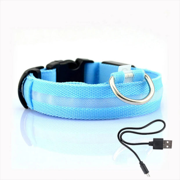 LED Dog Collar Light – Anti-Lost Night Glow with USB/Battery Option