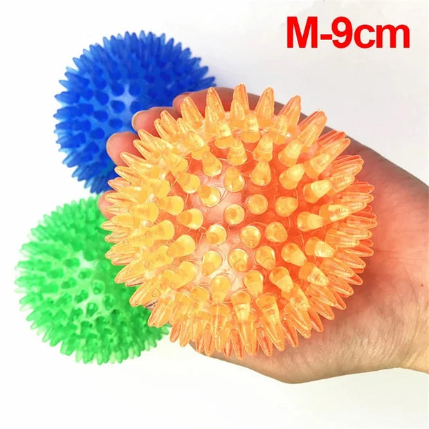 PawPlay Squeaky Ball – Training & Dental Chew Toy