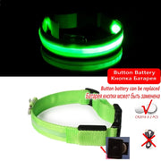LED Dog Collar Light – Anti-Lost Night Glow with USB/Battery Option
