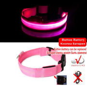 LED Dog Collar Light – Anti-Lost Night Glow with USB/Battery Option