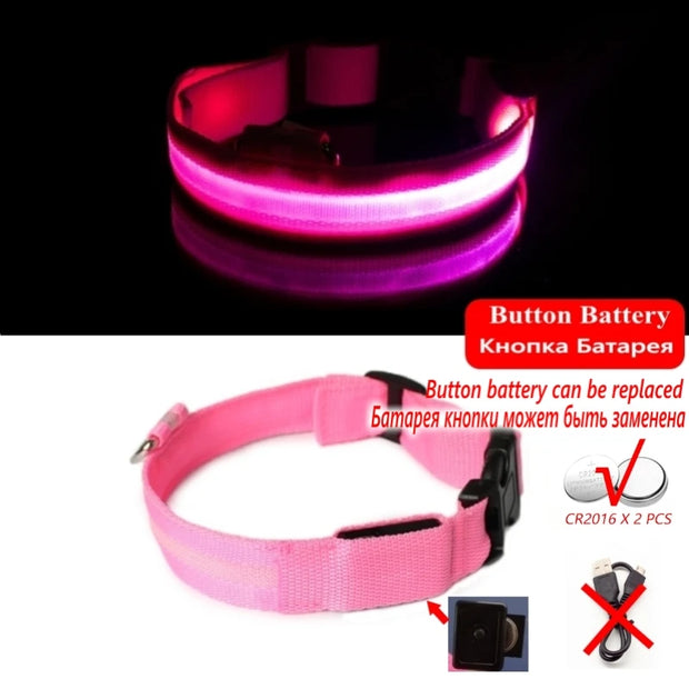 LED Dog Collar Light – Anti-Lost Night Glow with USB/Battery Option