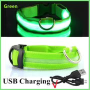 3-Mode LED Dog Collar – USB Rechargeable & Detachable Night Safety Light