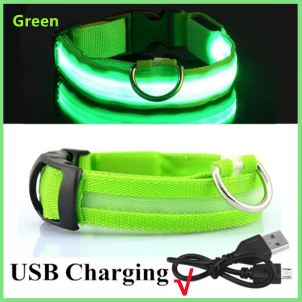 3-Mode LED Dog Collar – USB Rechargeable & Detachable Night Safety Light