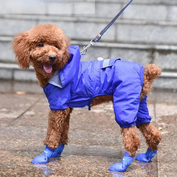 4pcs Waterproof Dog Booties – Candy Color Rubber Shoes for All Sizes