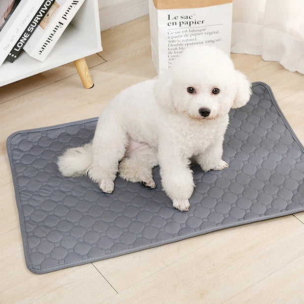 Washable Dog Urine Pads – Reusable, Anti-Slip Puppy Training Mat