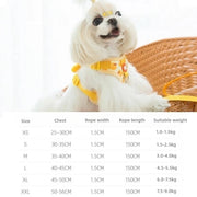 Cartoon Duck Pet Vest Set – Walk in Style!