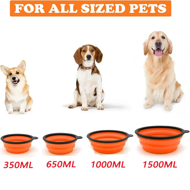 2-in-1 Folding Silicone Dog Bowl & Dispenser – Travel Ready with Carabiner