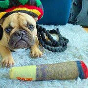 Plush Cigar Dog Toy – Squeaky & Teeth-Cleaning Fun for Small/Medium Dogs