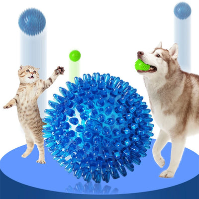 PawPlay Squeaky Ball – Training & Dental Chew Toy