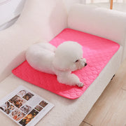 Washable Dog Urine Pads – Reusable, Anti-Slip Puppy Training Mat