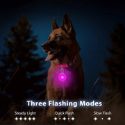 USB Glowing LED Pet Collar – Detachable Light for Night Safety