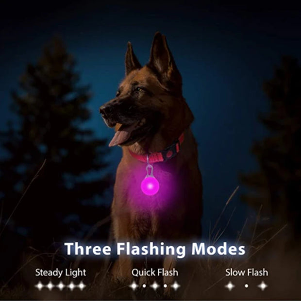 USB Glowing LED Pet Collar – Detachable Light for Night Safety