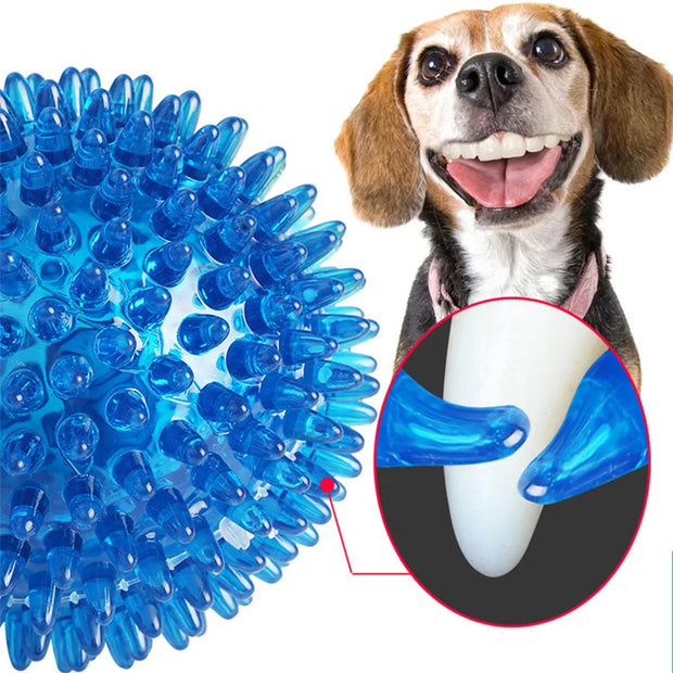 PawPlay Squeaky Ball – Training & Dental Chew Toy