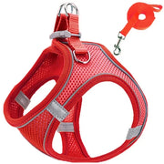 Reflective Dog Harness & Leash Set – Adjustable for Small Dogs & Cats