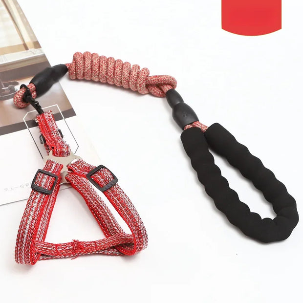 Adjustable Pet Harness & Leash Set – 1.2M for Small Dogs & Cats