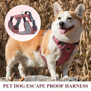 Reflective Mesh Dog Harness – Adjustable & Comfy Control