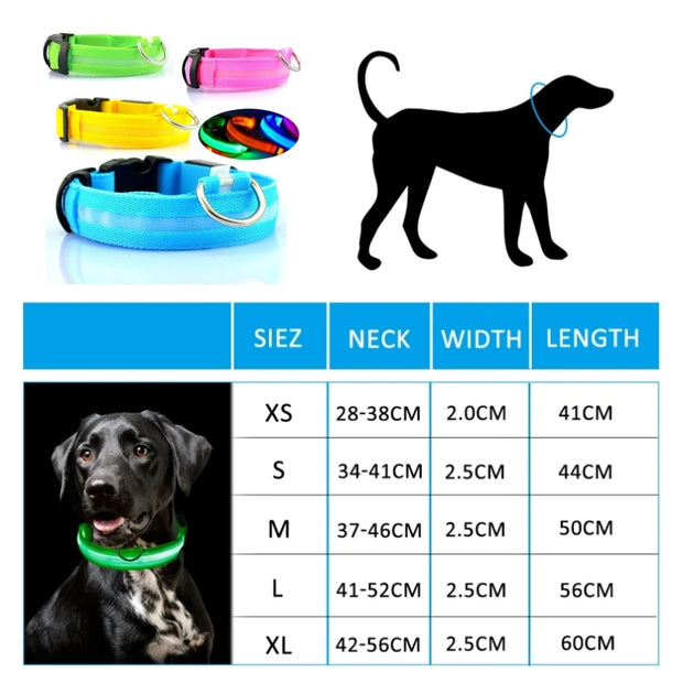 LED Dog Collar Light – Anti-Lost Night Glow with USB/Battery Option