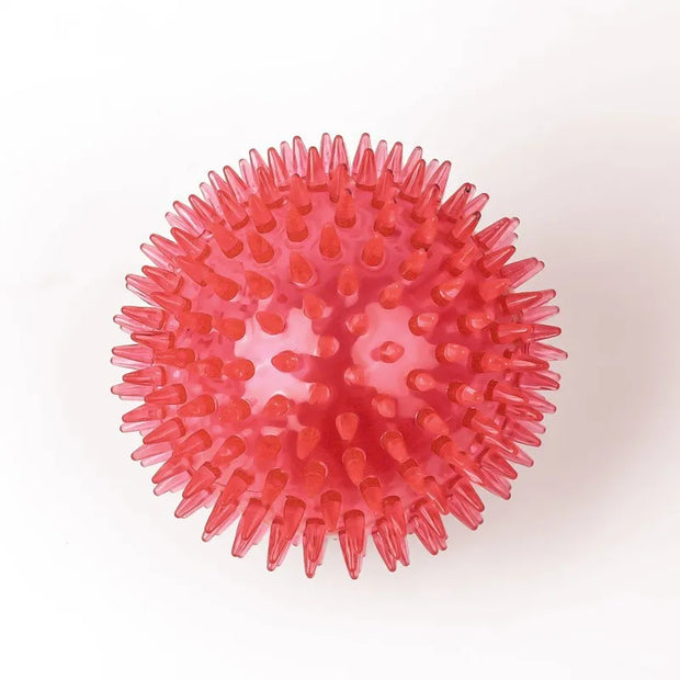 ChewBuddy Squeaky Ball – Training & Teeth Cleaning Toy
