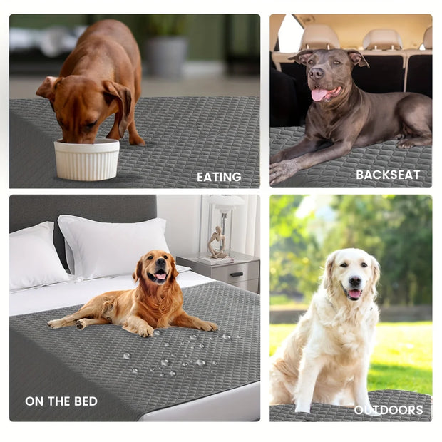 Anti-Leak Non-Slip Dog Bed Cover – Sofa & Car Protector