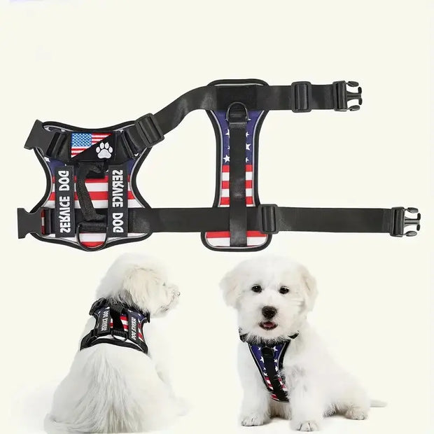 No-Pull Reflective Dog Harness & Leash Set – Escape-Proof Desig