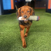 Plush Cigar Dog Toy – Squeaky & Teeth-Cleaning Fun for Small/Medium Dogs