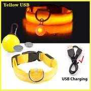 USB Glowing LED Pet Collar – Detachable Light for Night Safety