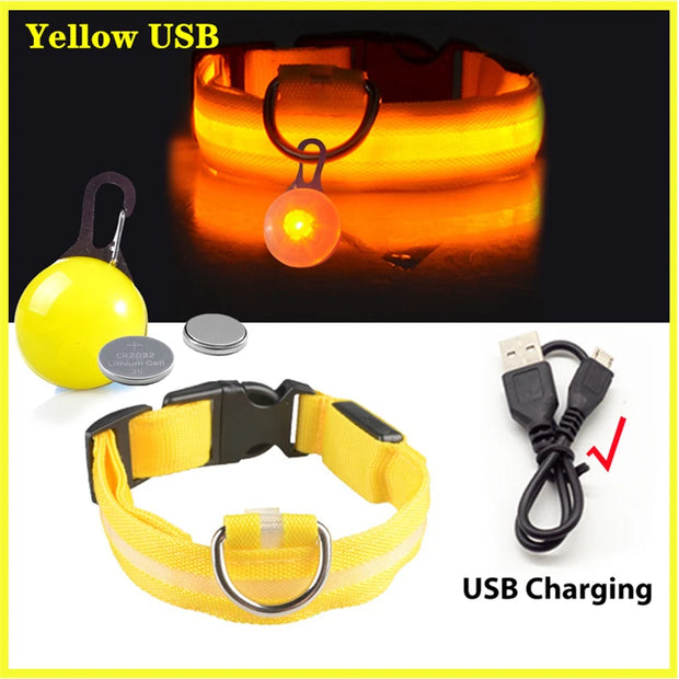 USB Glowing LED Pet Collar – Detachable Light for Night Safety