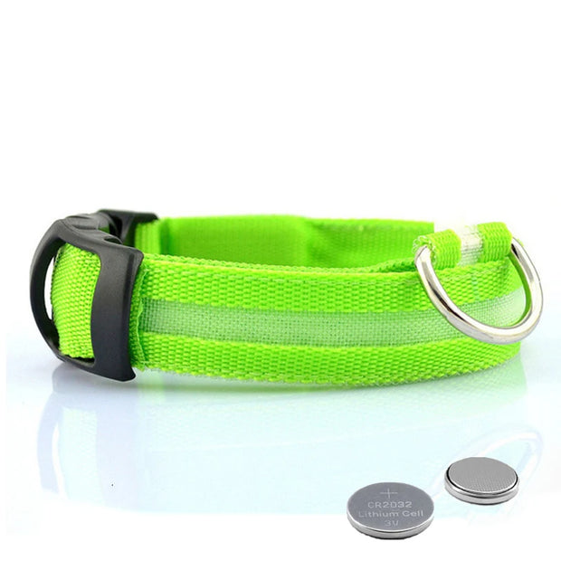 LED Dog Collar Light – Anti-Lost Night Glow with USB/Battery Option