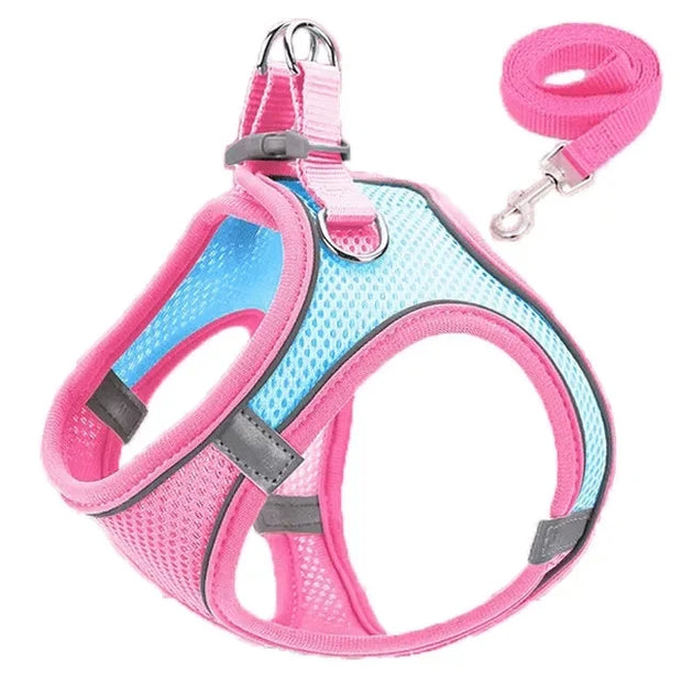 Reflective Dog Harness & Leash Set – Adjustable for Small Dogs & Cats