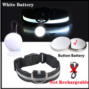 USB Glowing LED Pet Collar – Detachable Light for Night Safety