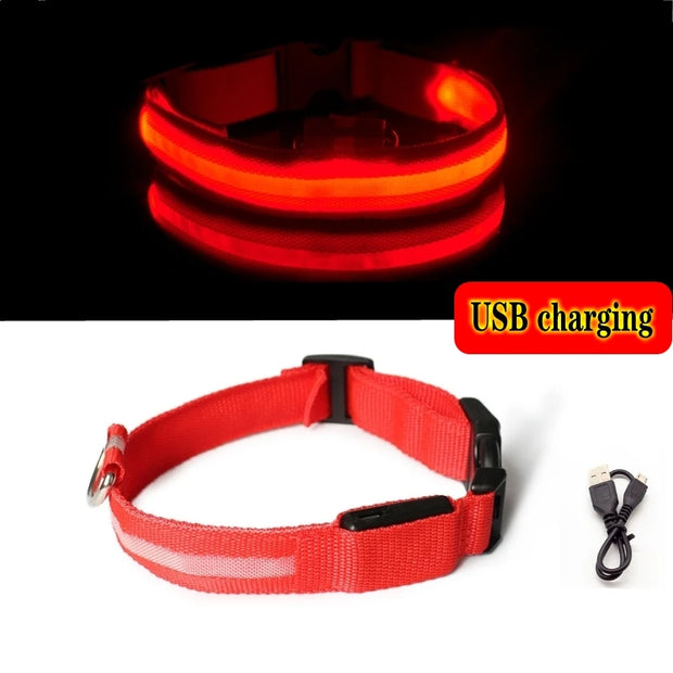 LED Dog Collar Light – Anti-Lost Night Glow with USB/Battery Option