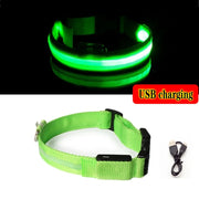LED Dog Collar Light – Anti-Lost Night Glow with USB/Battery Option
