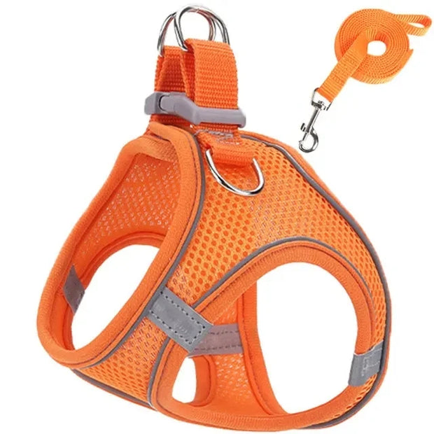 Reflective Dog Harness & Leash Set – Adjustable for Small Dogs & Cats