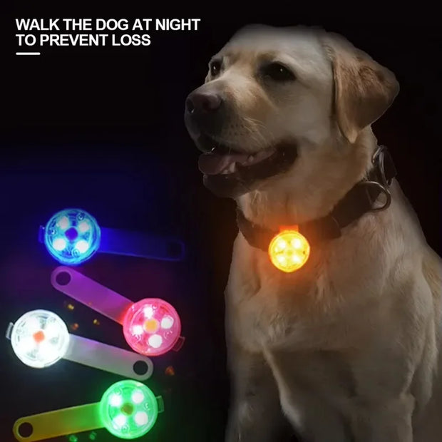 Weatherproof LED Pet Collar – USB Rechargeable Safety Light