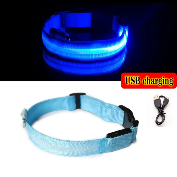 LED Dog Collar Light – Anti-Lost Night Glow with USB/Battery Option