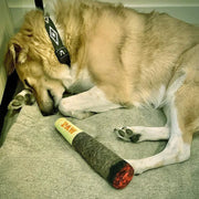 Plush Cigar Dog Toy – Squeaky & Teeth-Cleaning Fun for Small/Medium Dogs
