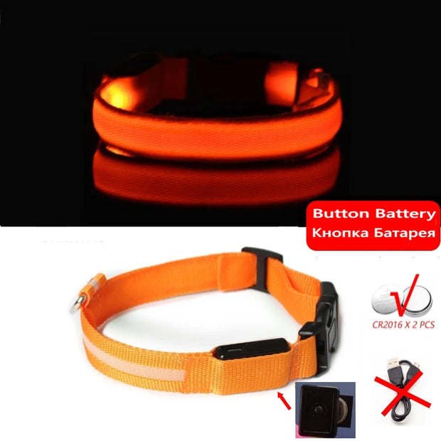 LED Dog Collar Light – Anti-Lost Night Glow with USB/Battery Option