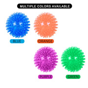 PawPlay Squeaky Ball – Training & Dental Chew Toy