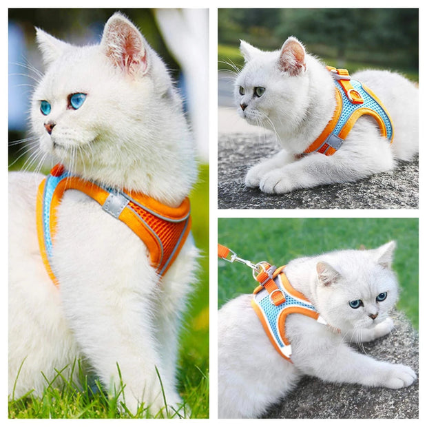 Reflective Dog Harness & Leash Set – Adjustable for Small Dogs & Cats