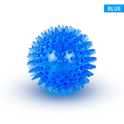PawPlay Squeaky Ball – Training & Dental Chew Toy