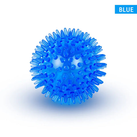 PawPlay Squeaky Ball – Training & Dental Chew Toy