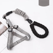Adjustable Pet Harness & Leash Set – 1.2M for Small Dogs & Cats
