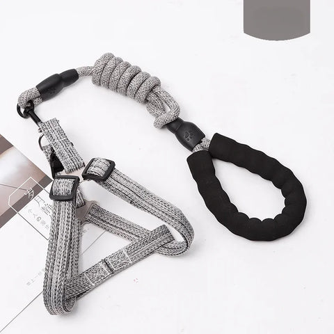 Adjustable Pet Harness & Leash Set – 1.2M for Small Dogs & Cats