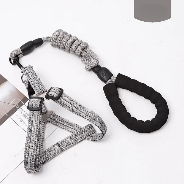 Adjustable Pet Harness & Leash Set – 1.2M for Small Dogs & Cats