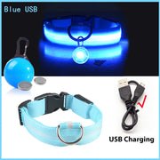 USB Glowing LED Pet Collar – Detachable Light for Night Safety