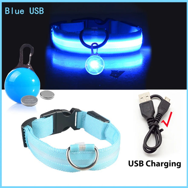 USB Glowing LED Pet Collar – Detachable Light for Night Safety